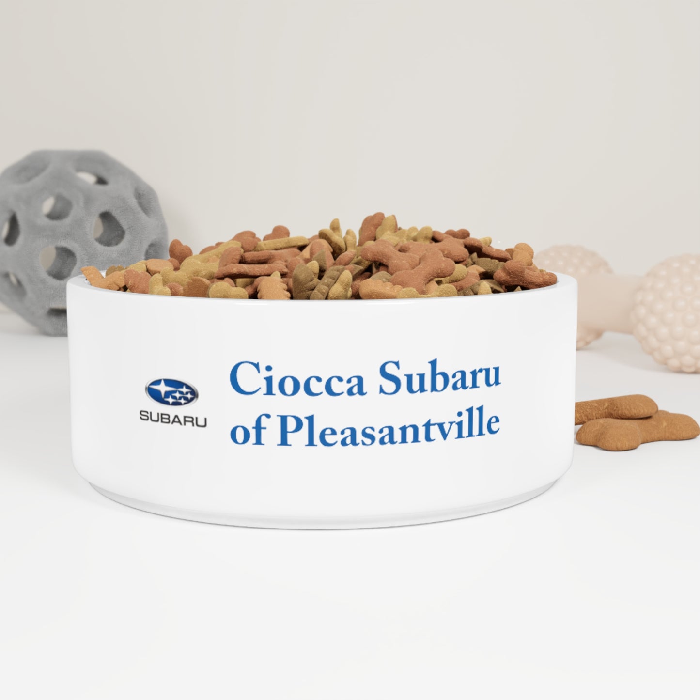 Pet Bowl - Subaru of Pleasantville